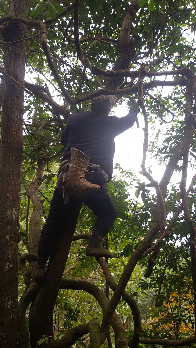 哺乳期瑶浴：功效、危害及注意事项