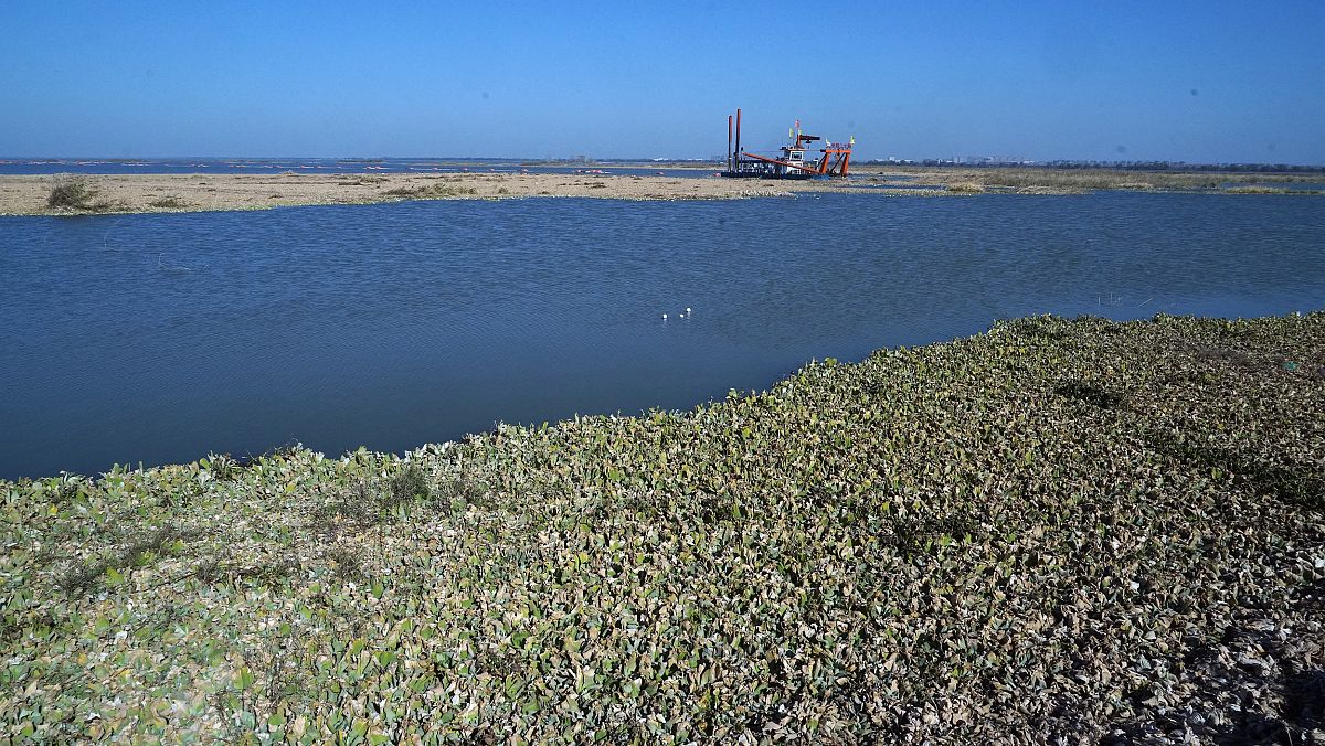 骆马湖水质采样：助力南水北调生态研究