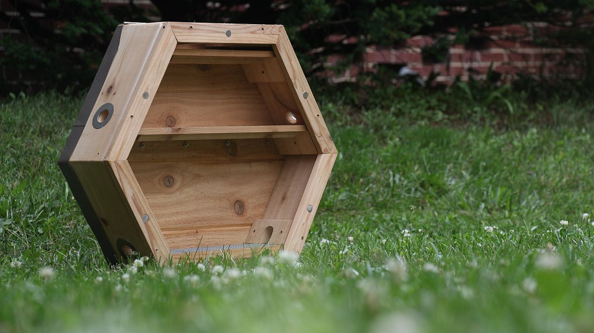 大学开始创业走了很多弯路刚开始那年一分钱没赚还亏了十多万后面实在没有钱全网搜索贷款平台借钱生活就搜索到一个在头条上推广贷款的他的玩法其实很简单就是在头条上写相关的文章植入广告最后引流到公众号开通会员他做的就是收集各种贷款口子我当时也付款了出于对网络的兴趣。根据上述的尼采哲学思想要求2000字