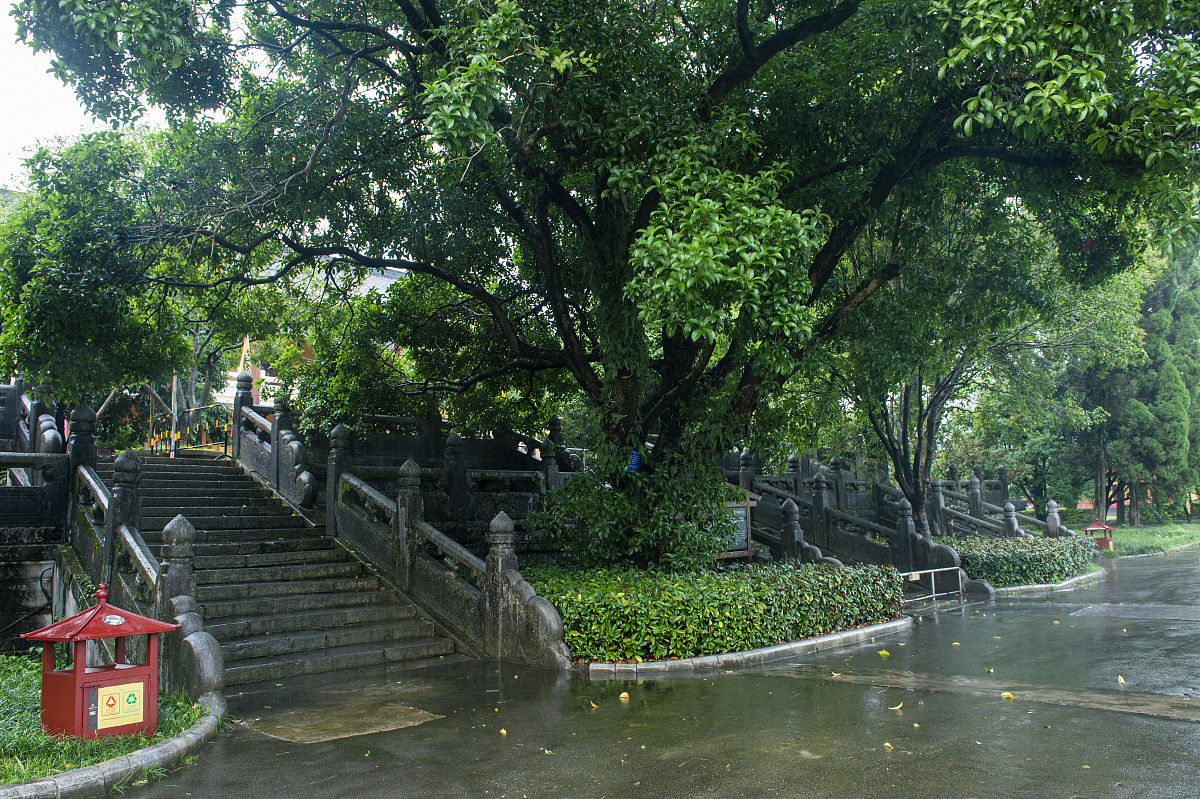 重庆第二师范学院全国排名：2019年排名及办学实力