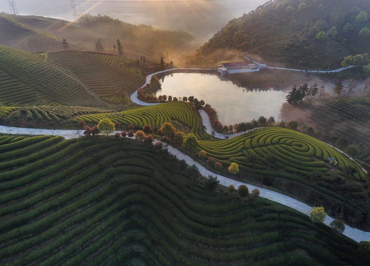 写一篇《武夷山奇缘》的公众号文章加一点关于岩茶的古诗词
