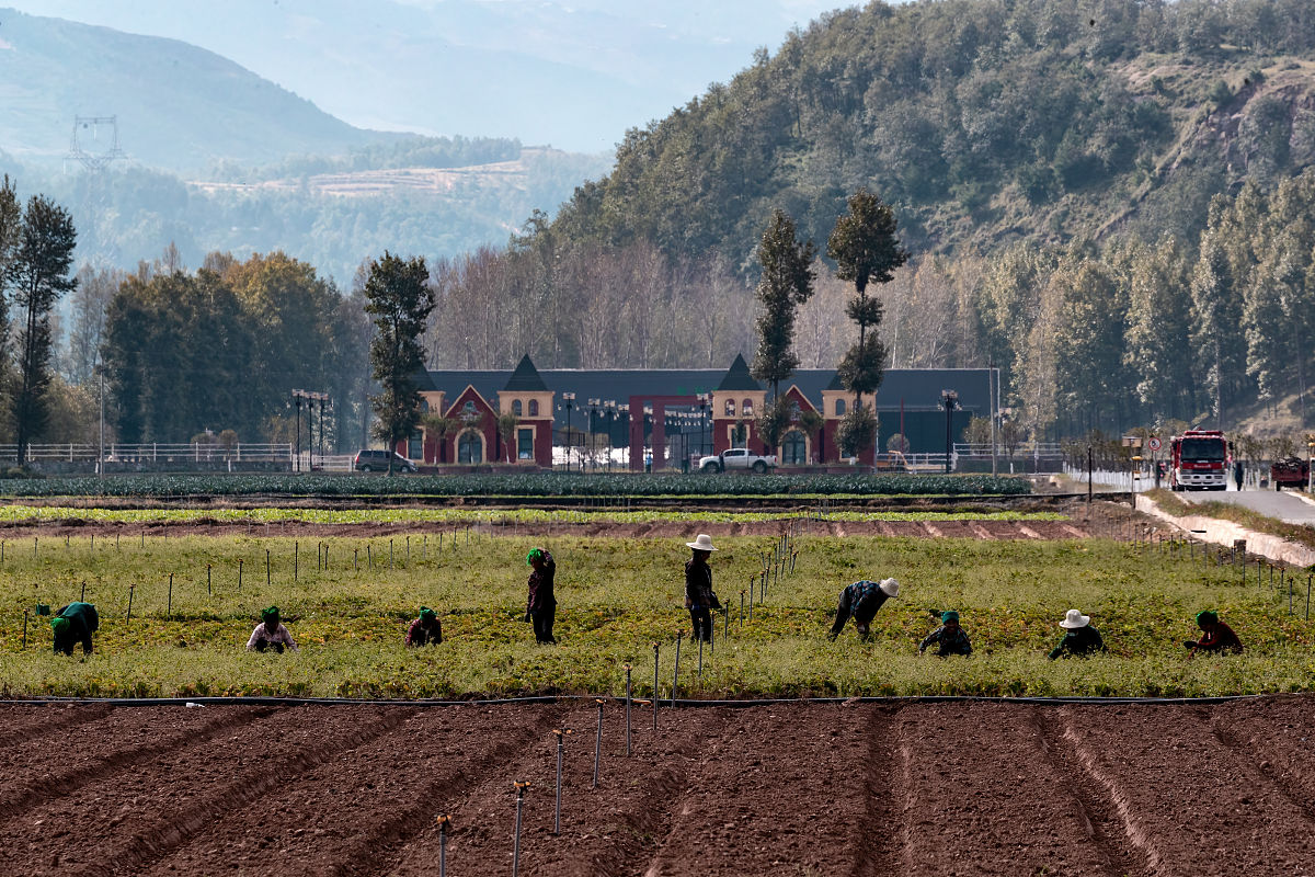四川省凉山农业学校地址在哪里