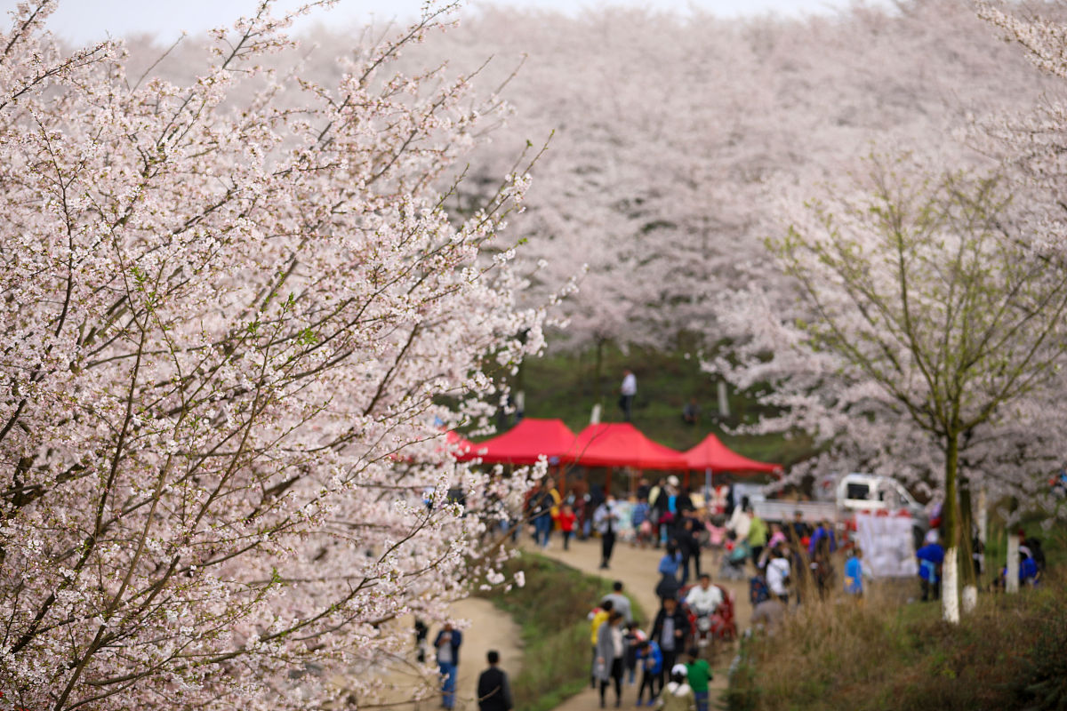 安顺媒体曝光求助热线是多少？ 要求：创建1500字的文章不能出现电话