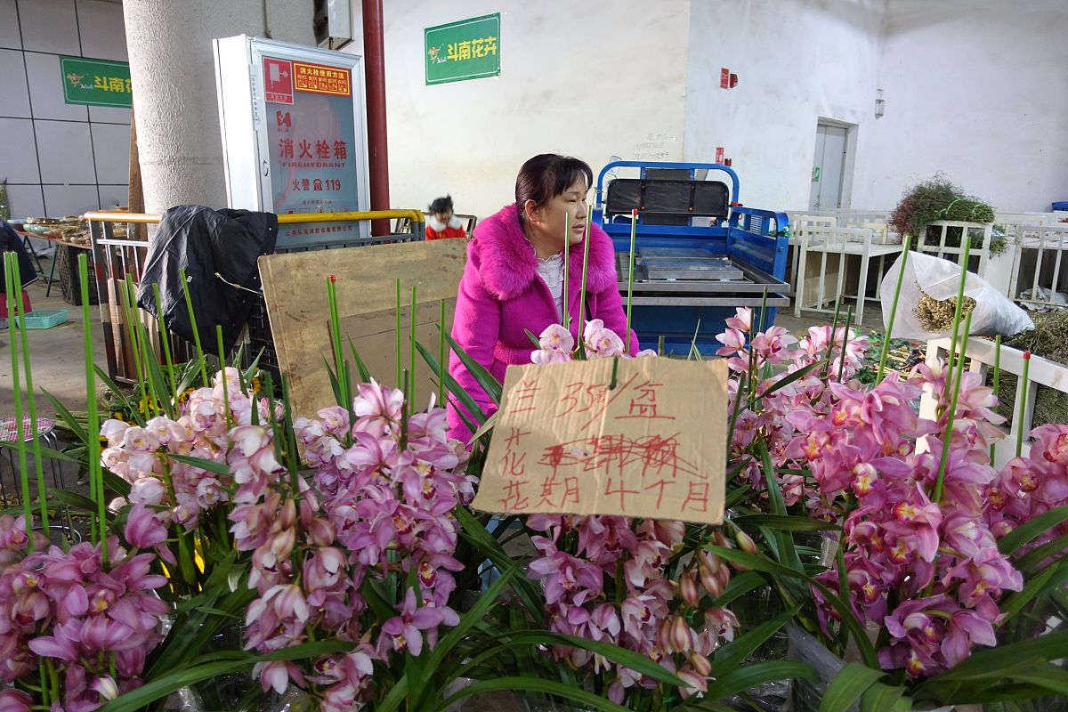 云南财经师范大学呈贡校区2022年幼师招生简章 - 报名时间及条件