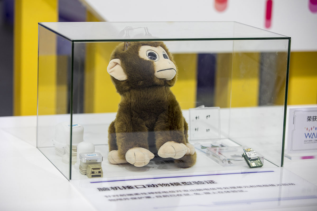 我需要写一篇名为脑电信号中运动意向的四肢分类算法的论文来对比各种分类算法的效果请为我写一篇摘要