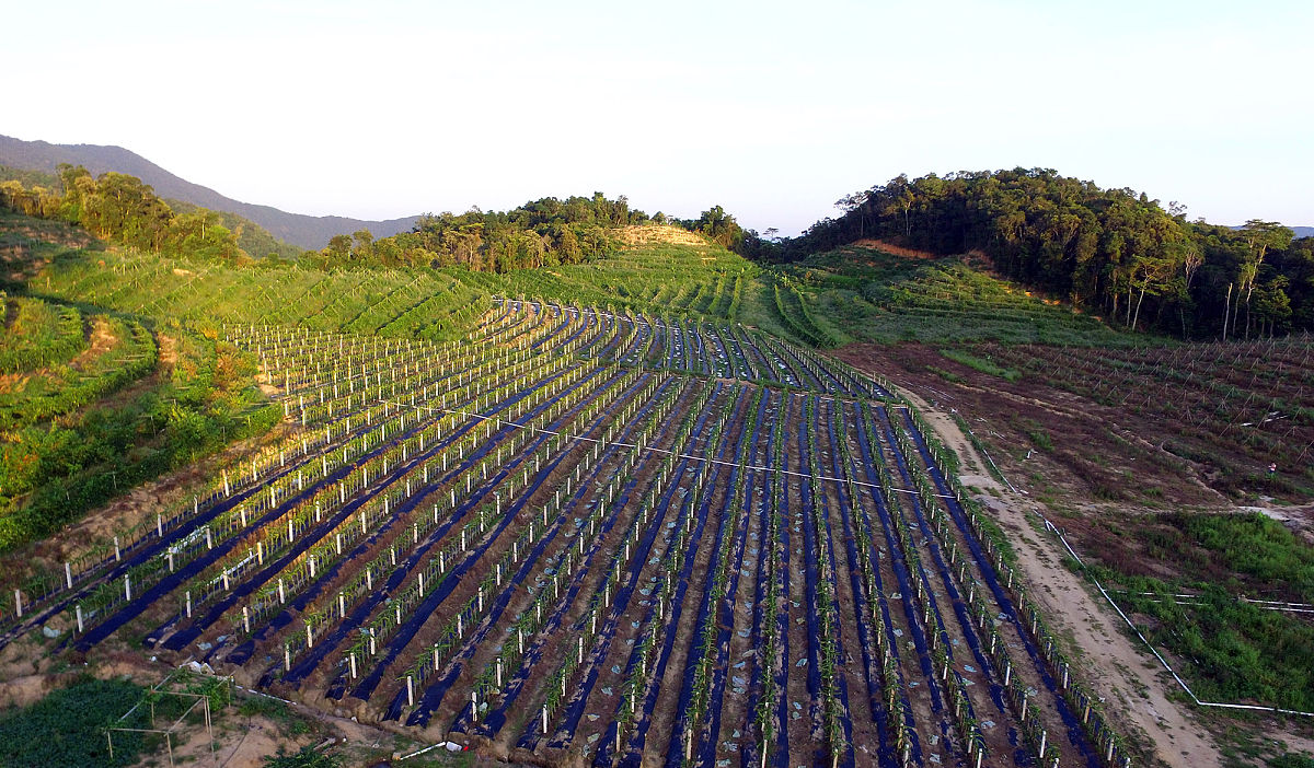 南华大学医学院2022年招生简章