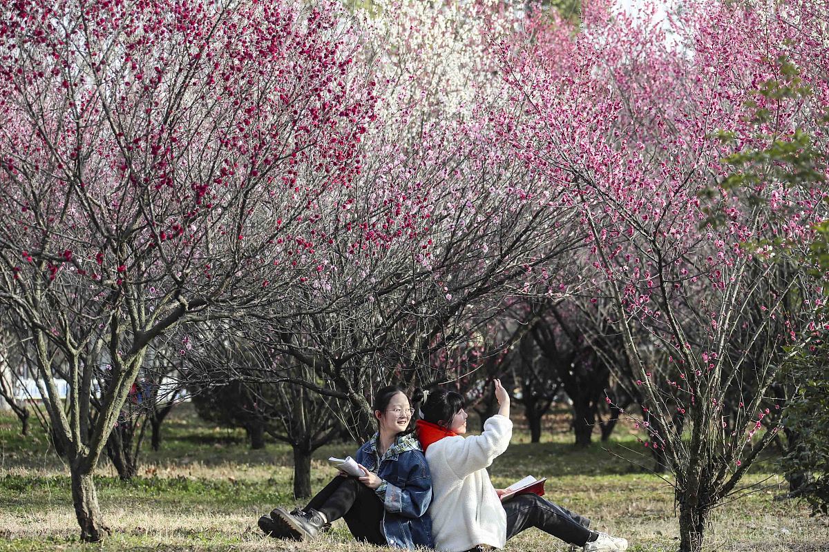 淮阴师范学院2022年招生简章