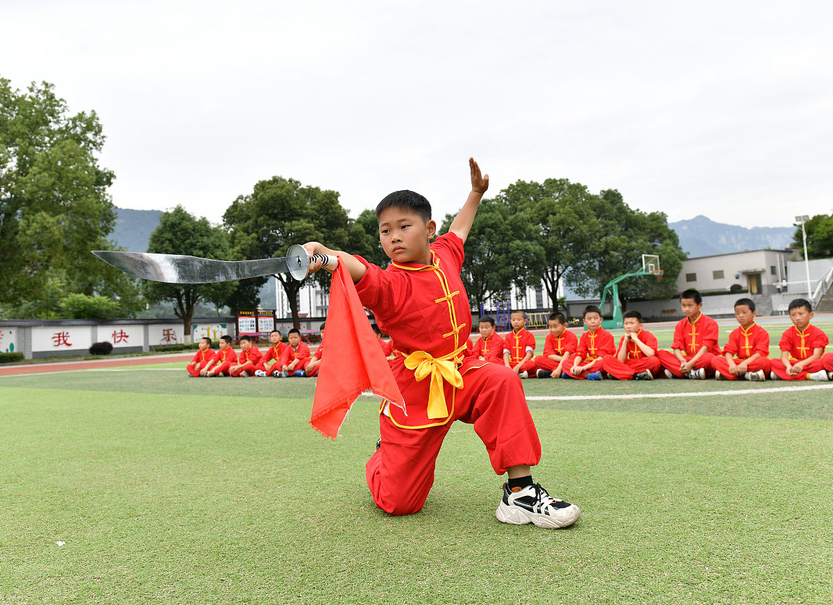 调查了五所小学的武术操课程开展情况其中发放了学生问卷200份教师问卷15份请写一份带有具体数据的关于武术操教学内容的调研结果分析
