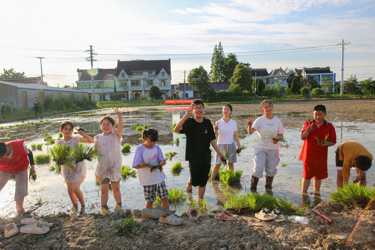 古生村科技小院知农爱农培训感想