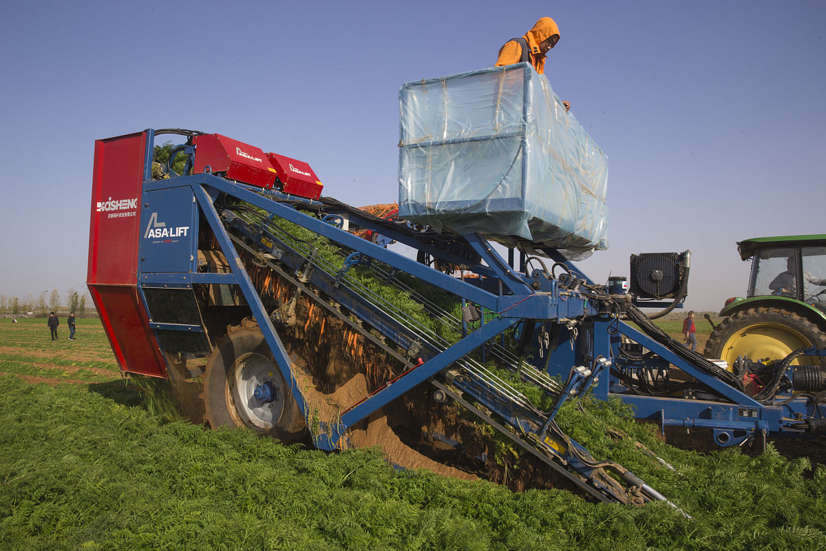 蒙自县中等农业机械化技术学校：选择与否？