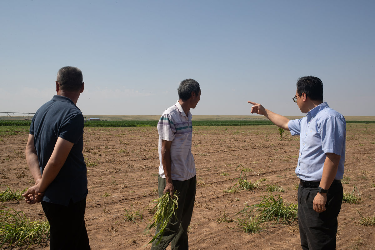 昆明市林业技工学校2022年招生专业一览 - 培养林业技术人才