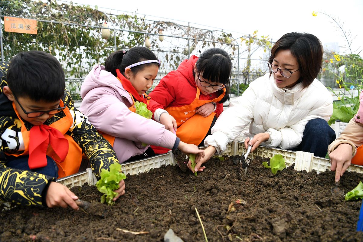 幼儿园花草种植：培养孩子关爱自然与责任感