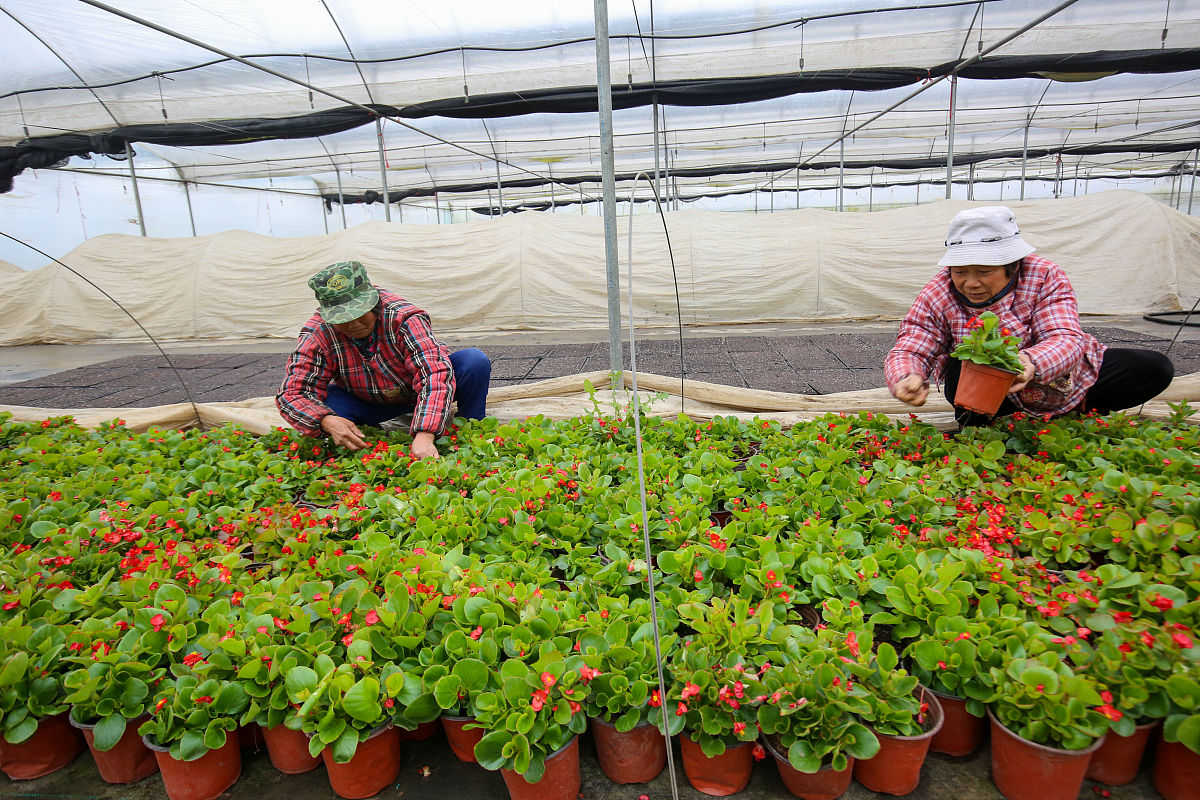 介绍楚雄农业学校果蔬花卉生产技术专业