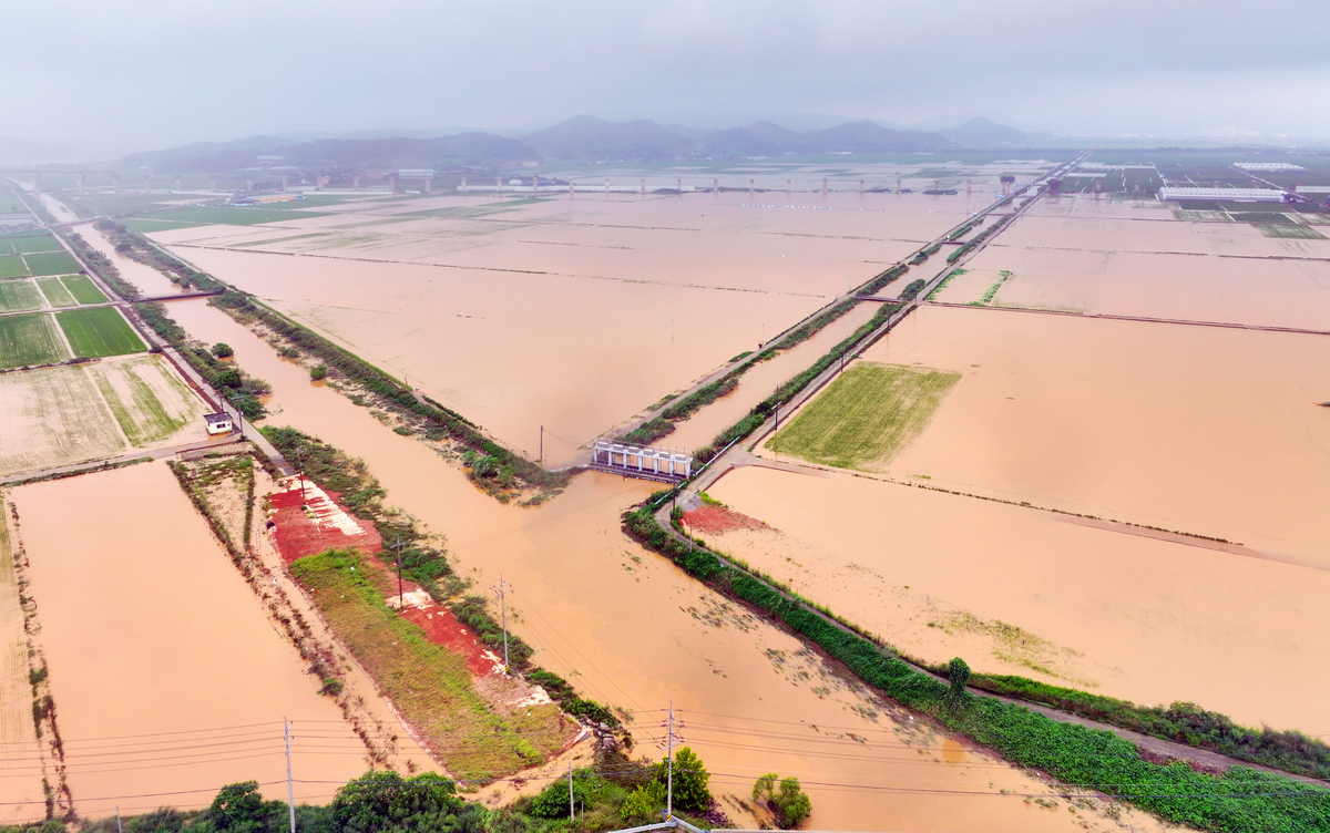 萧山湖围垦工程：代表工程解析及生态保护