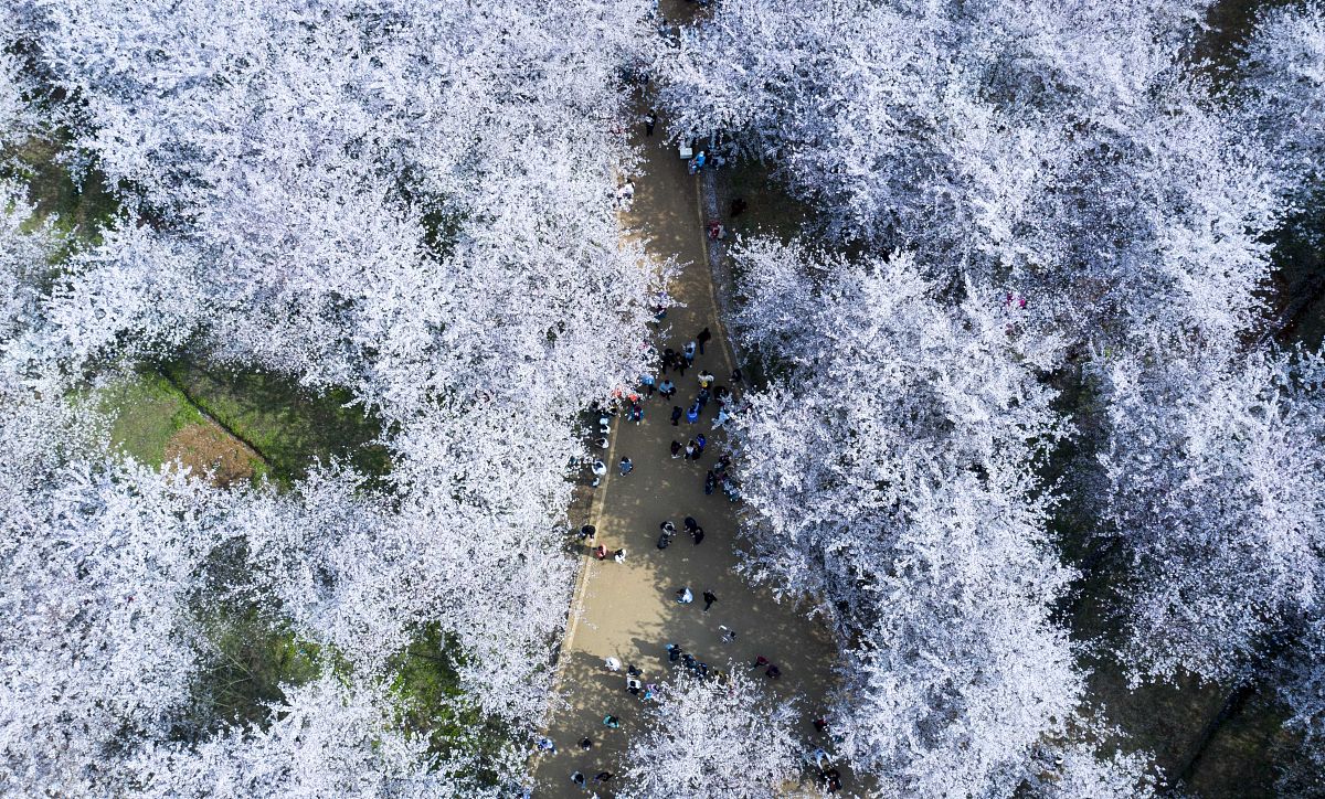 平坝区中等职业学校2021年哪些专业招生