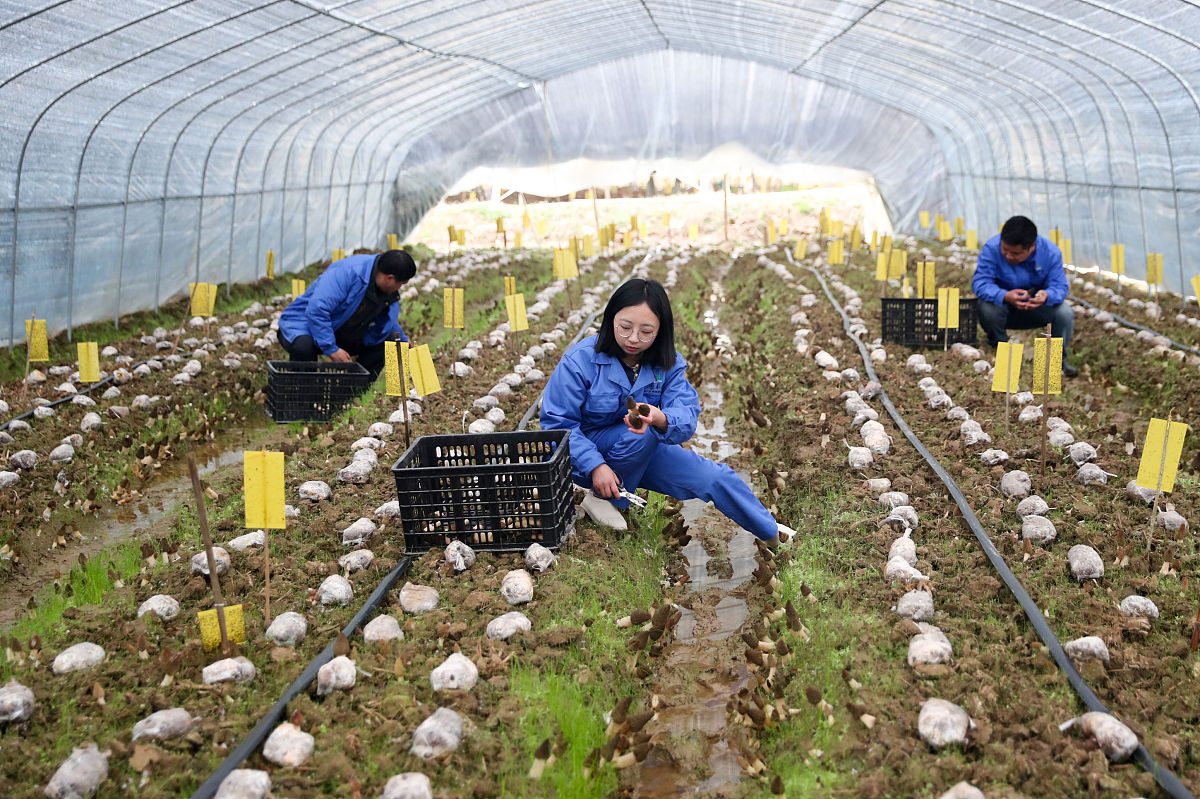 福建对外经济贸易职业技术学院广告设计与制作专业怎么样？