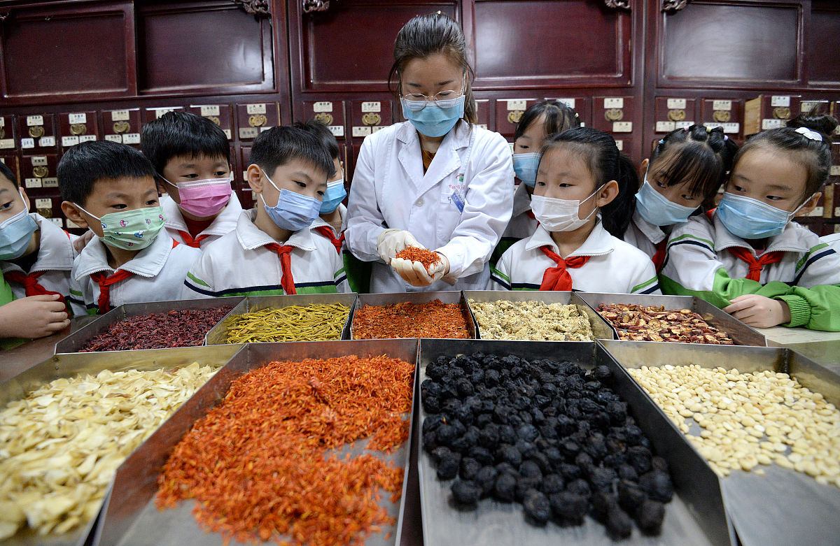 河北哪里适合学中药？