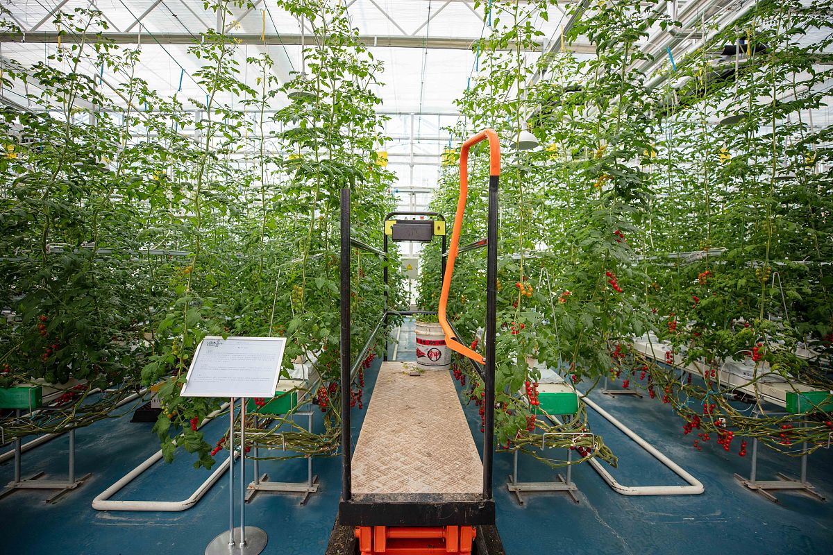 请帮我写一个一小时长的农业产业园的宣传视频脚本