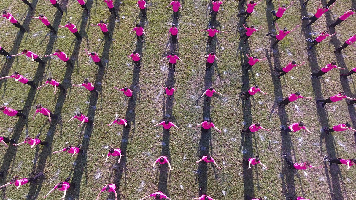 种植鱼鳞坑需要多少种子？