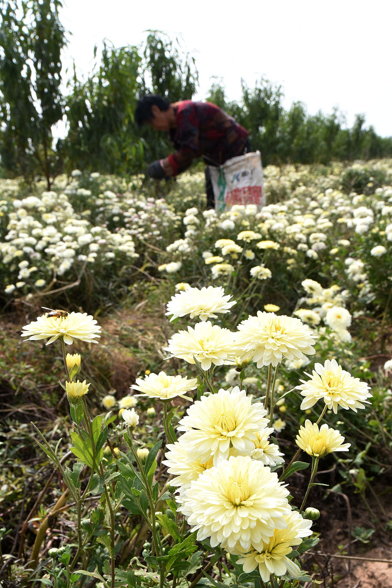 2020年邯郸中考分数线公布！理科文科分数线一览