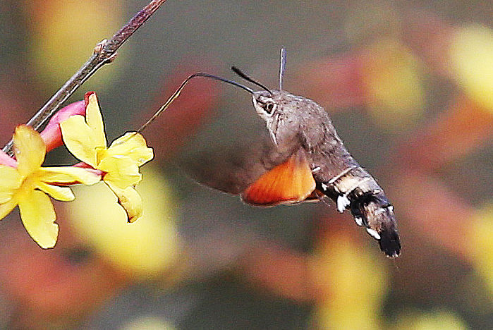 山东医科大学卫生学校计划生育专业怎么样