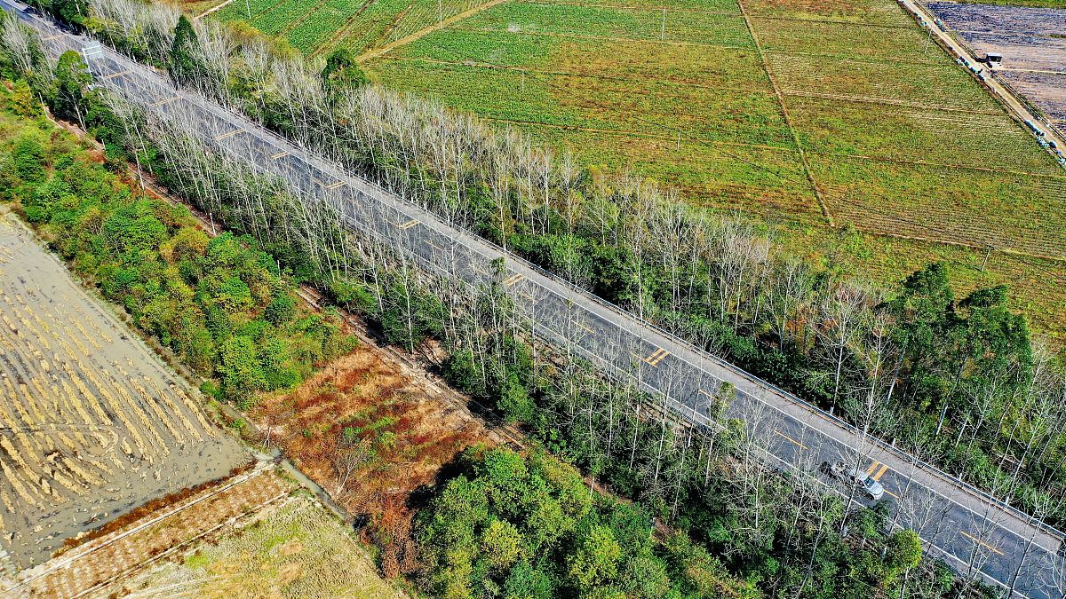 江西赣州卫生学校地址在哪里用