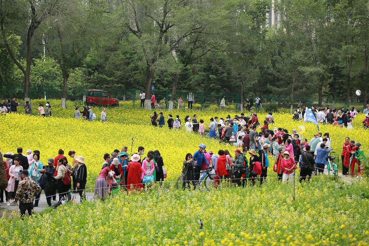 春游的益处：放松身心，拥抱自然