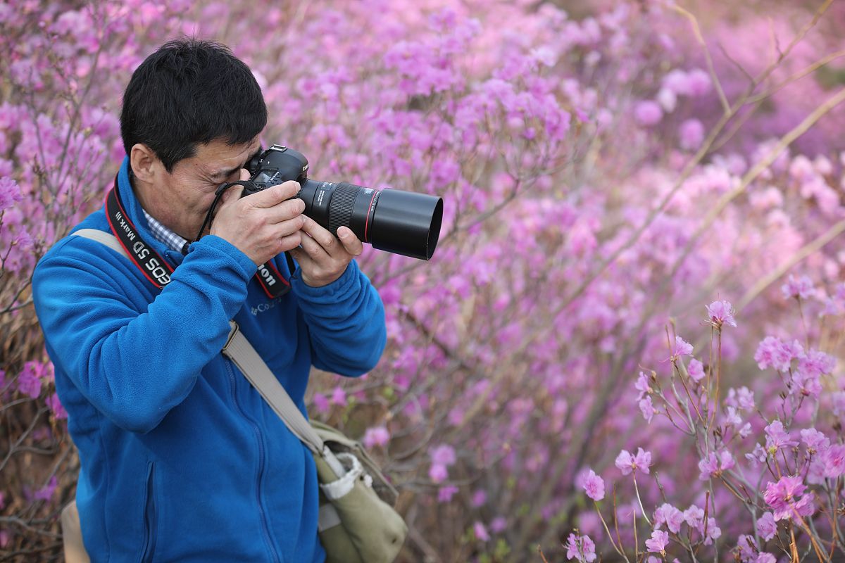 青岛胶南珠山职业学校招生条件及分数线 - 报考指南