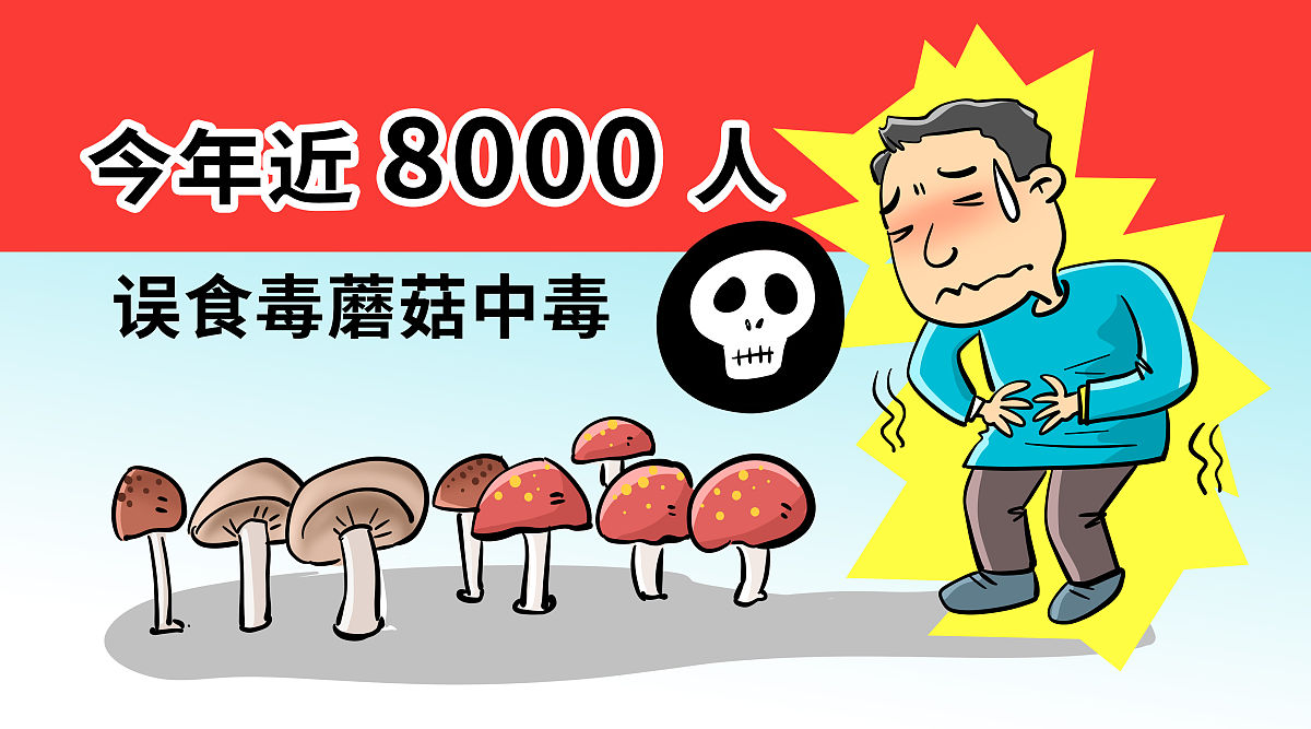 蘑菇中毒课题引入
