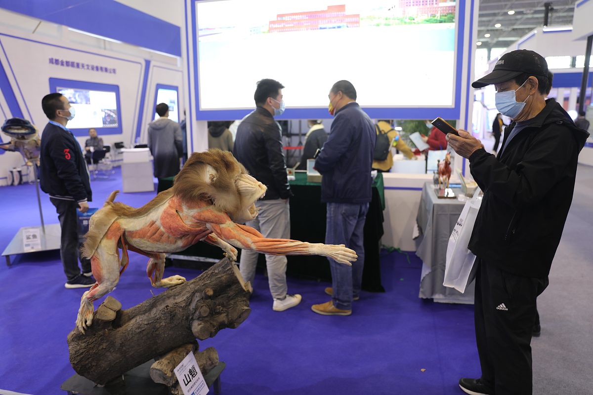 芜湖滴水科技学校2021年招生专业介绍