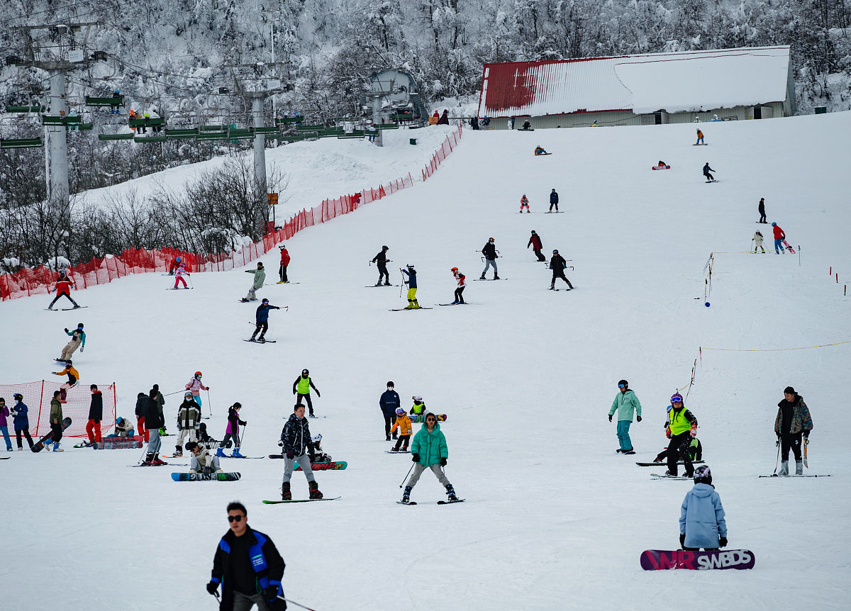 2022年1月11日,成都,西岭雪山.(如若下载使用,请务必署名:红星新闻 陶