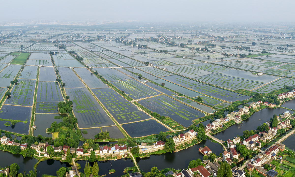 延吉市林蛙养殖产业情况结合当地林蛙养殖的数据进行描写大约600字