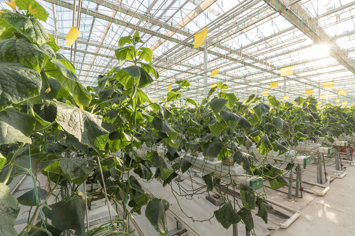 福建农业职业技术学院观光农业专业好不好发展前景怎样