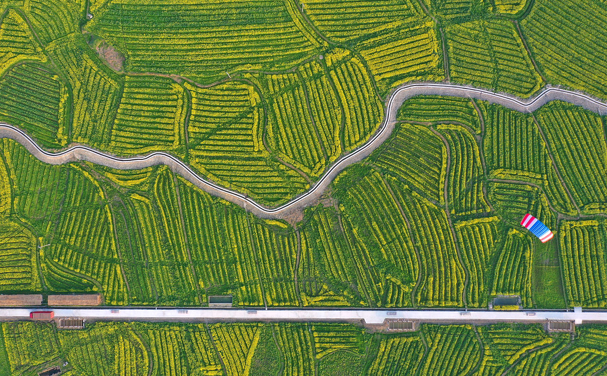 黔南民族职业技术学院2020年招生简章 | 报名指南