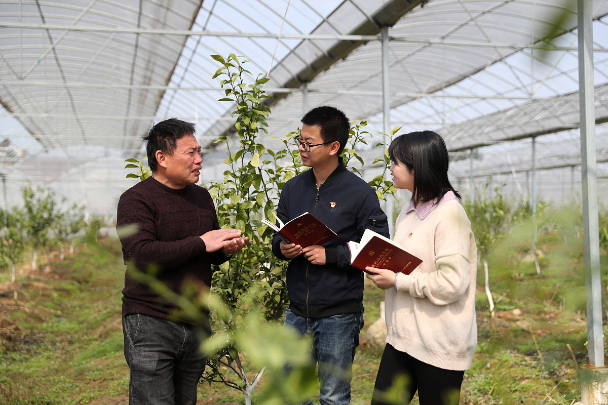 论述本文乡村振兴背景下榆阳区农业人才问题及对策研究的研究成果写成一段话格式不少于100字。
