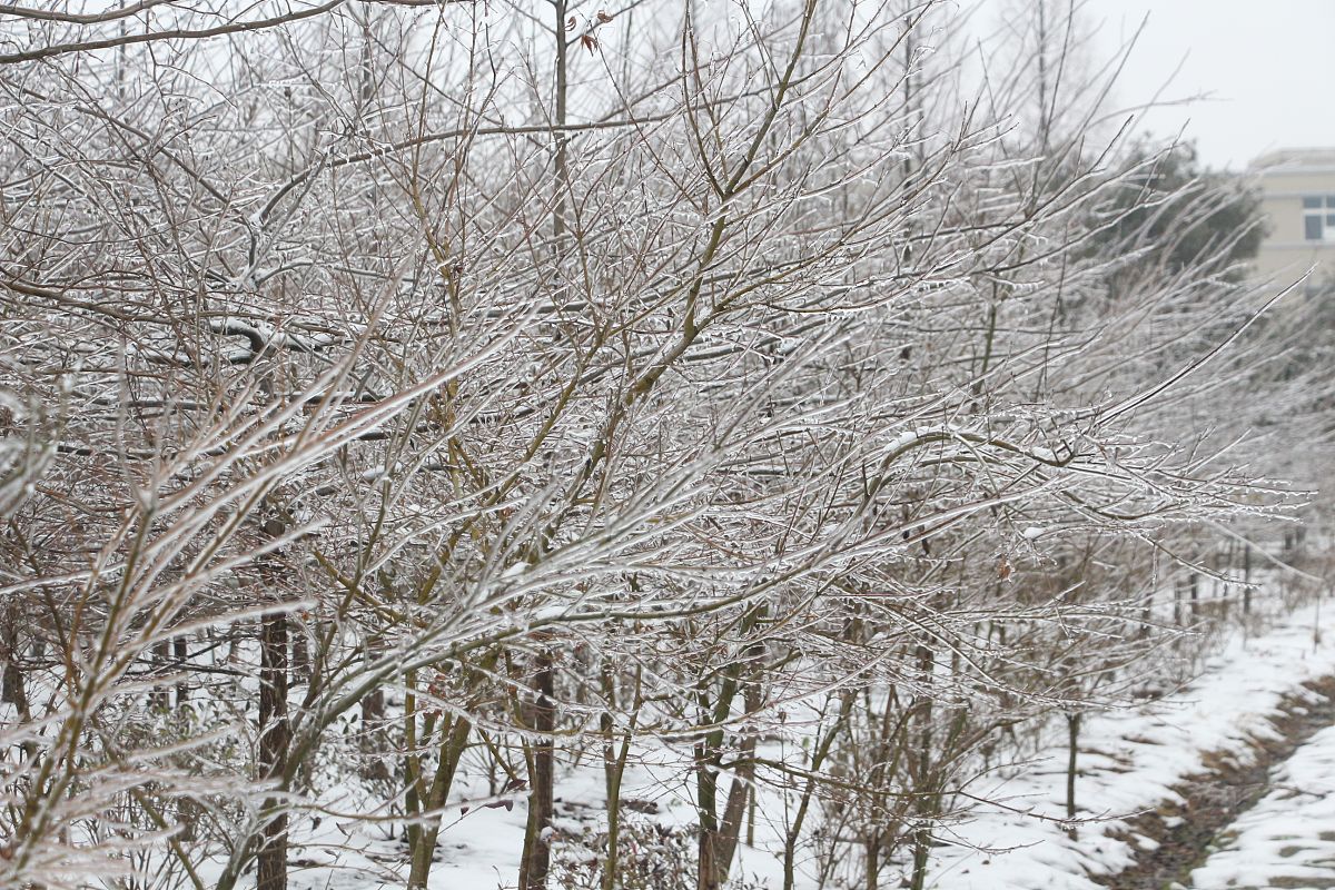 湖北生态工程职业技术学院药剂专业选择指南