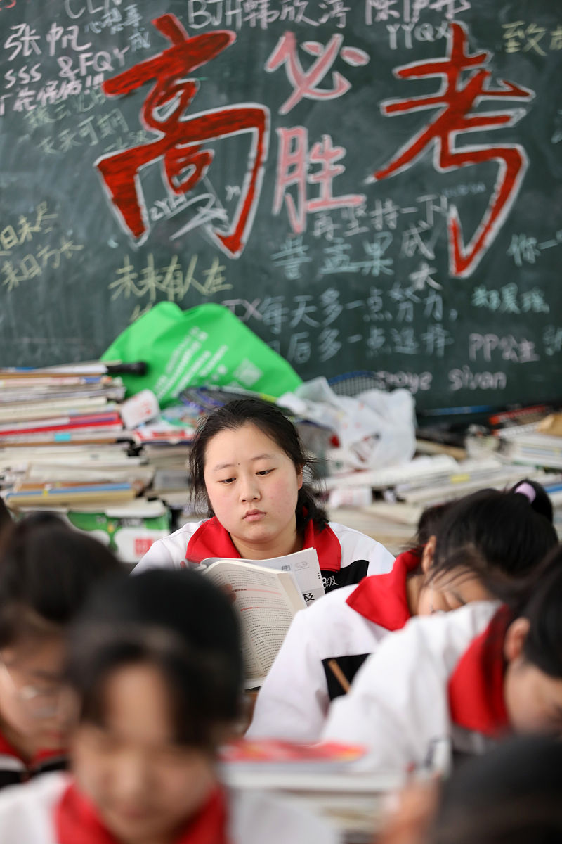 中级经济师的学习指导计划