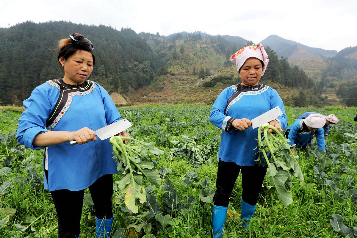 帮我写一段话介绍2023年黔东南州榕江县村超的火爆原因以及村超的背景
