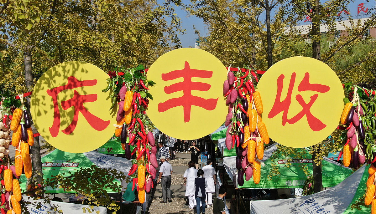 重庆大足地区节庆活动同质化分析：丰收节、香会节与民俗文化节