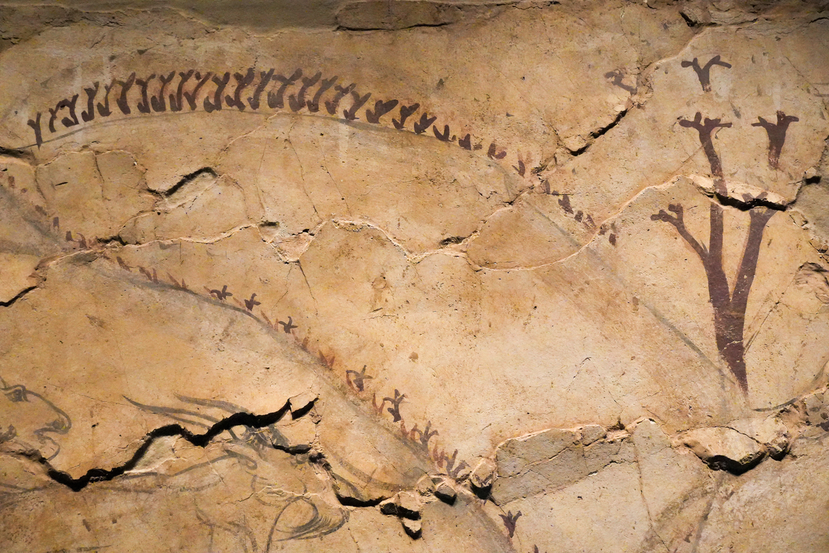 可以为提供的新闻故事想一个合适的标题吗？字数限制在20字以内简短清晰即可。