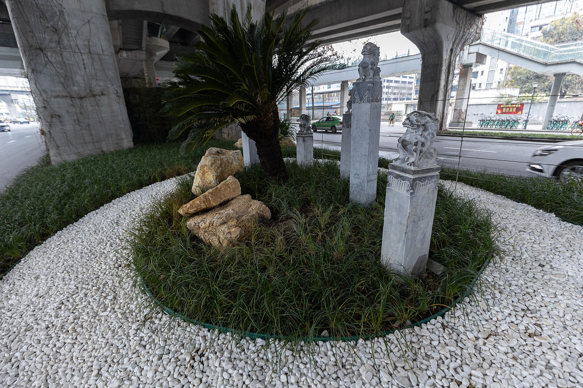 2021年1月20日,成都二环增绿9600平方米,这个"圈圈"的绿化景观更靓了.
