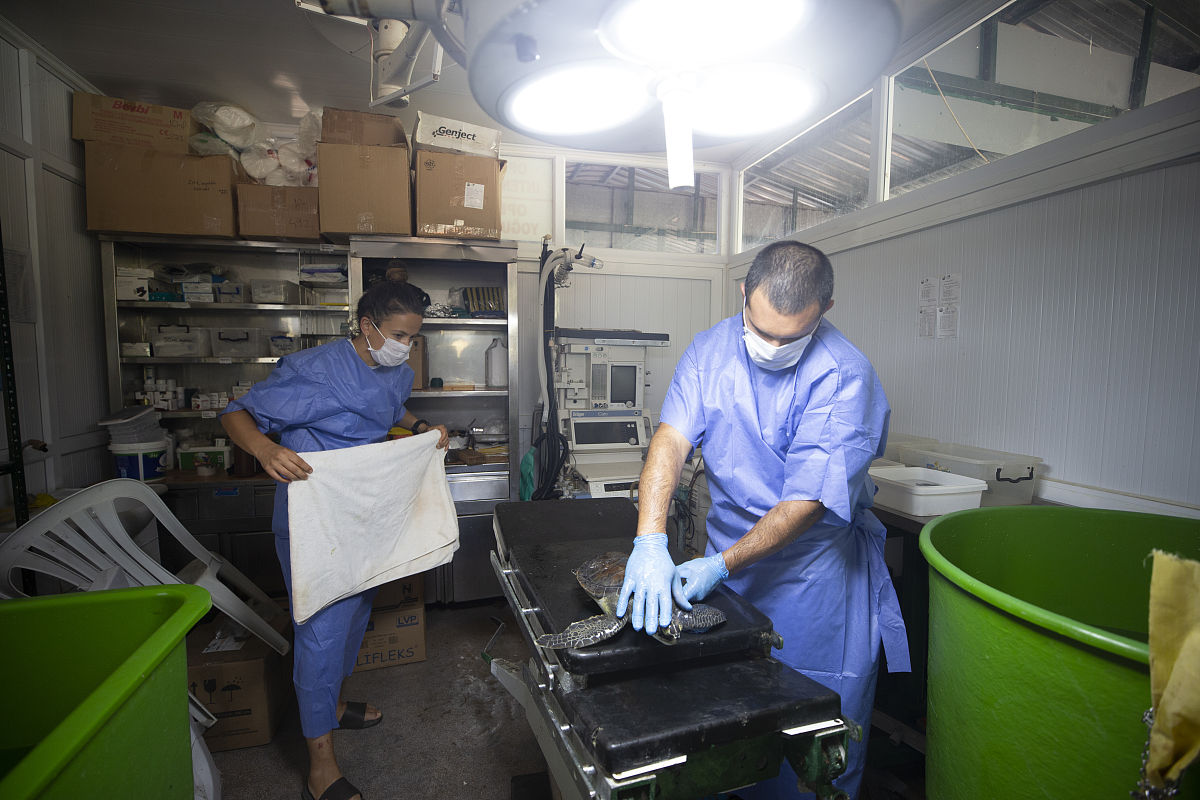 重庆市医药学校康复治疗学专业就业前景分析