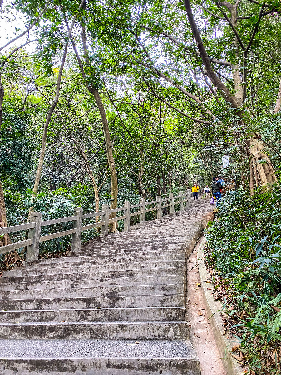 写一篇白云山爬山作文