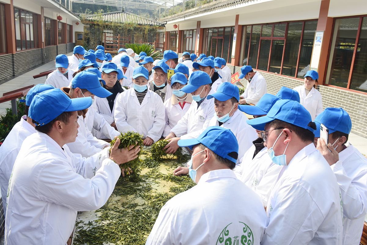 四川省峨眉山市职业技术学校茶叶生产与加工专业到底行不行设有哪些课程