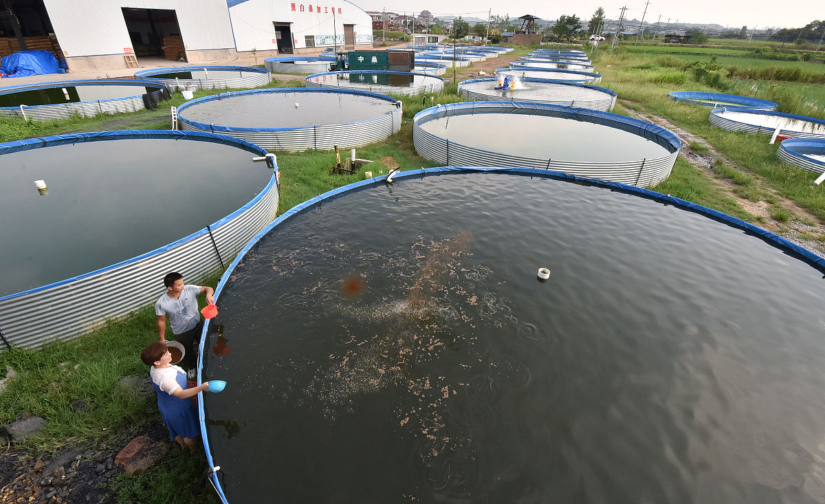 光催化技术在水中抗生素降解研究中的应用现状至少写1万字。