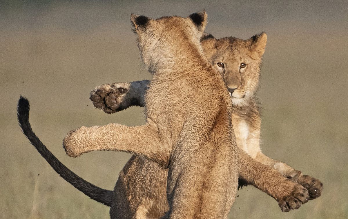模拟高中生LINE群聊：角色扮演与聊天互动