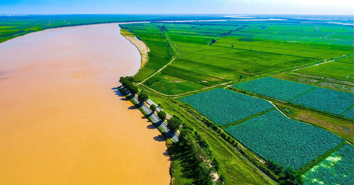 1任保平张陈璇黄河流域高质量发展与生态环境保护耦合协调的开放发展驱动研究J宁夏社会科学202303133-139
