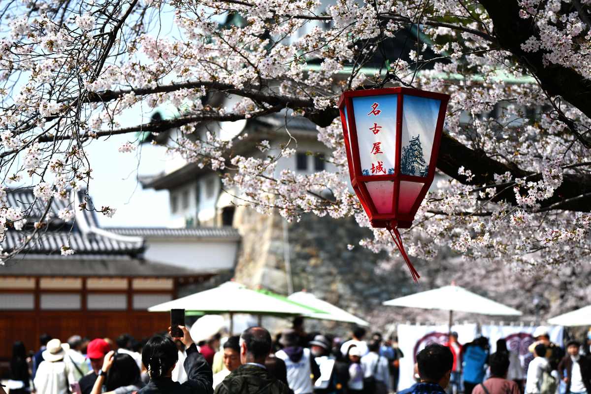 当地时间2026年3月29日,日本名古屋,民众在名古屋城尽