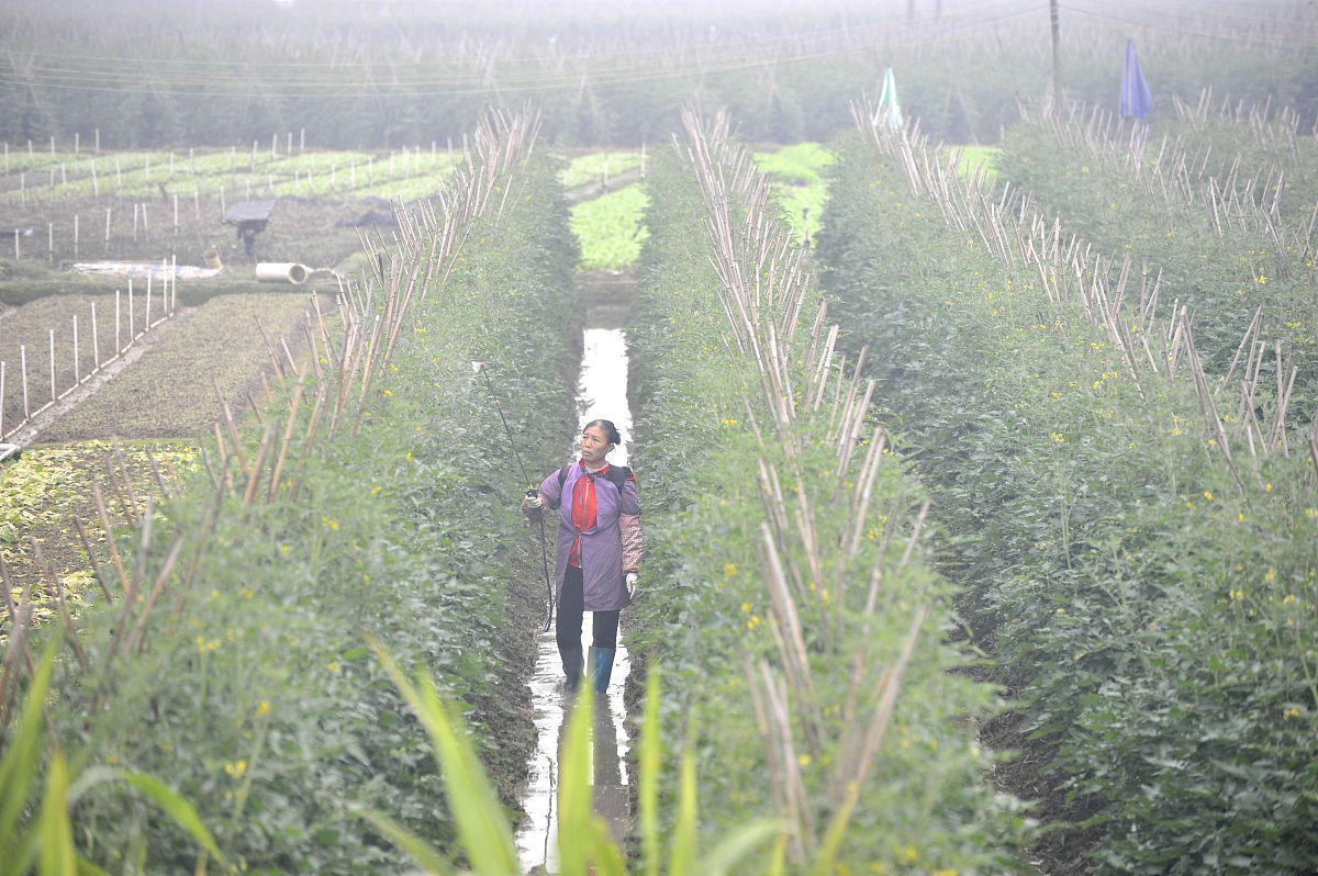 陇南农业学校2023年有哪些专业