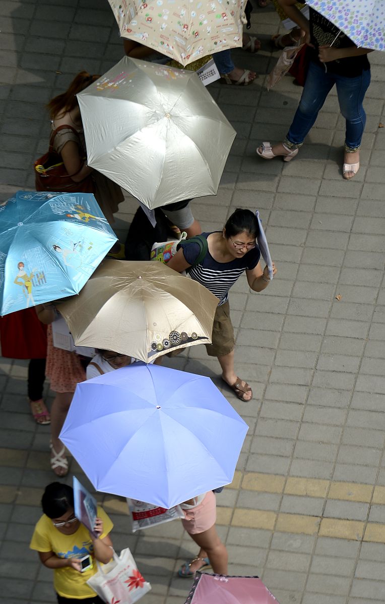 天心区招教天心区招教题目